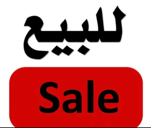 Vente Terrain El Bayadh El abiod sidi cheikh