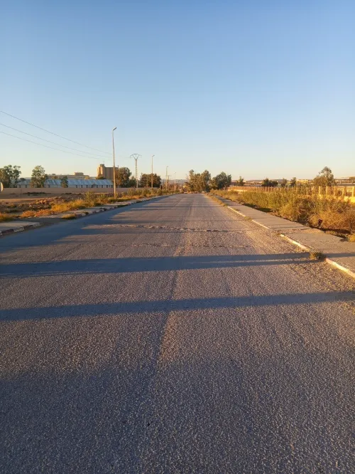 Vente Terrain Laghouat Laghouat