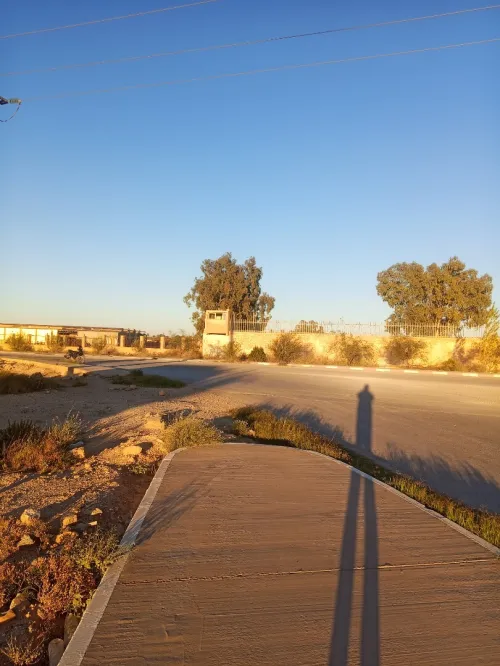 Vente Terrain Laghouat Laghouat