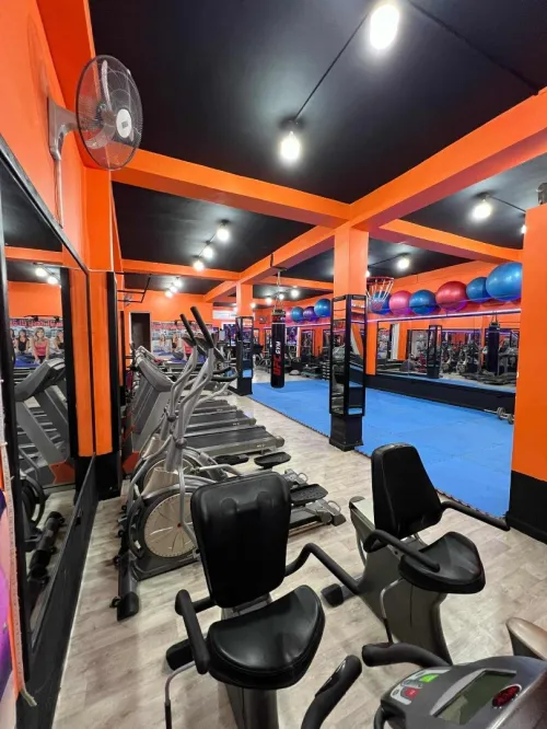 matériel de sport musculation