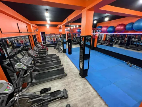 matériel de sport musculation