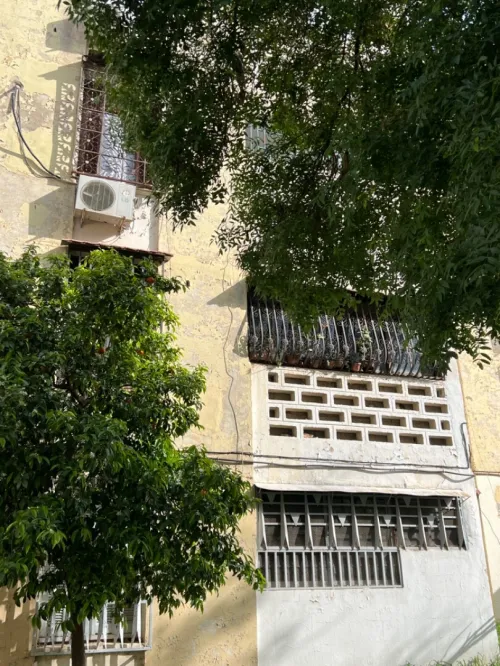 Vente Appartement Guelma Guelma