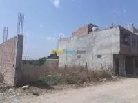 Vente Terrain Boumerdès Hammedi