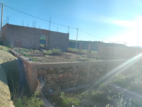 Vente Terrain Saïda Ouled khaled
