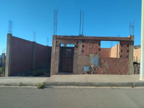 Vente Terrain Saïda Ouled khaled