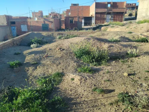 Vente Terrain Saïda Ouled khaled