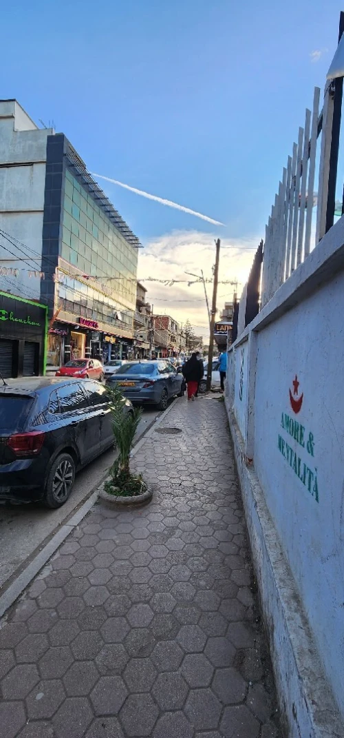 Vente Villa Alger Douera