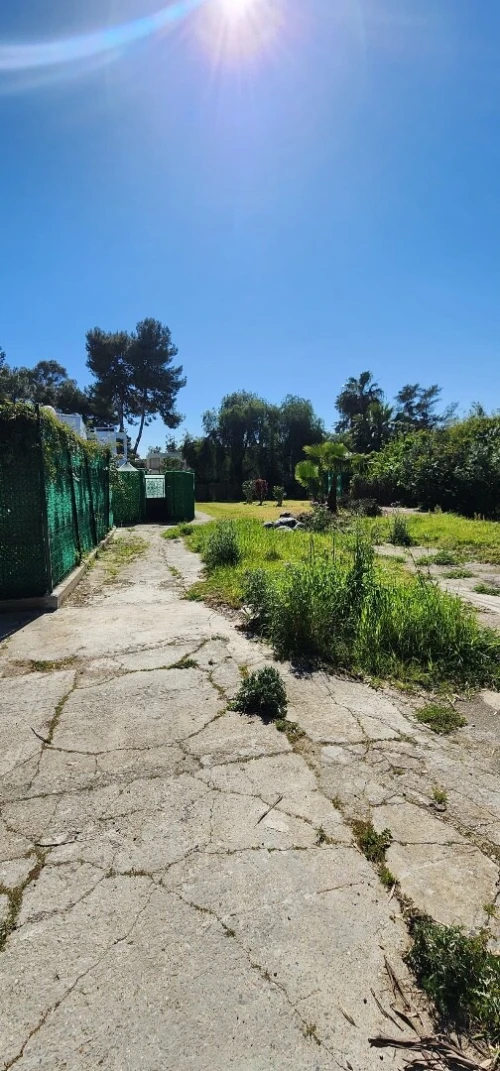 Vente Appartement F3 Alger Dar el beida