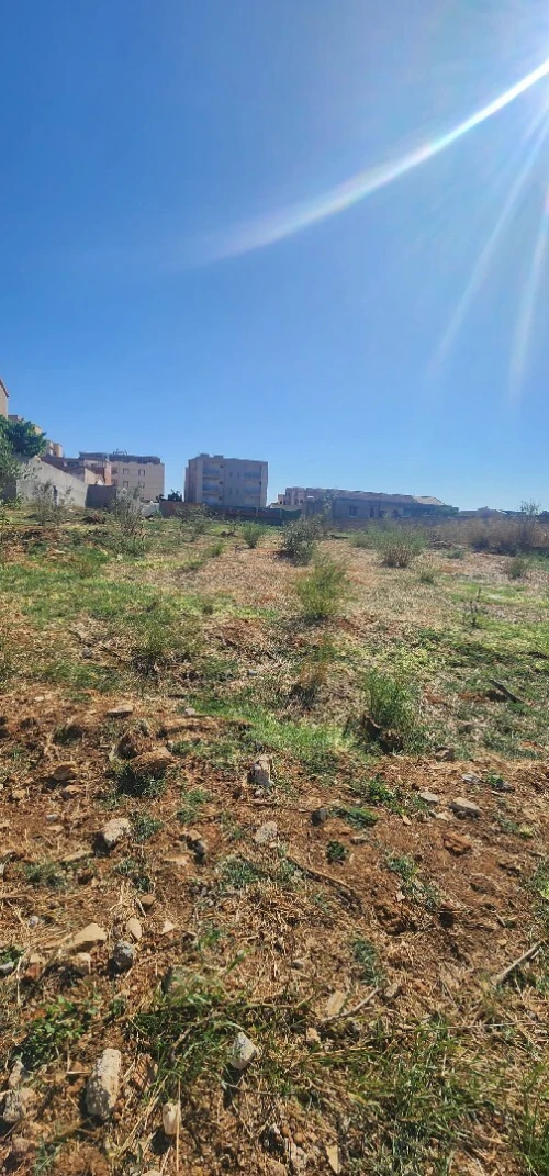 Vente Terrain Alger Douera