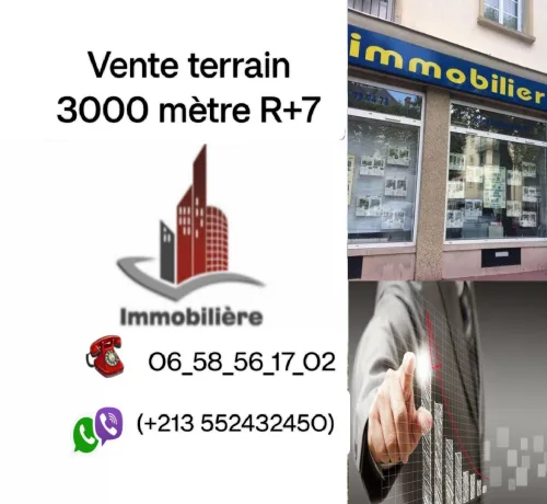 Vente Terrain Alger Draria