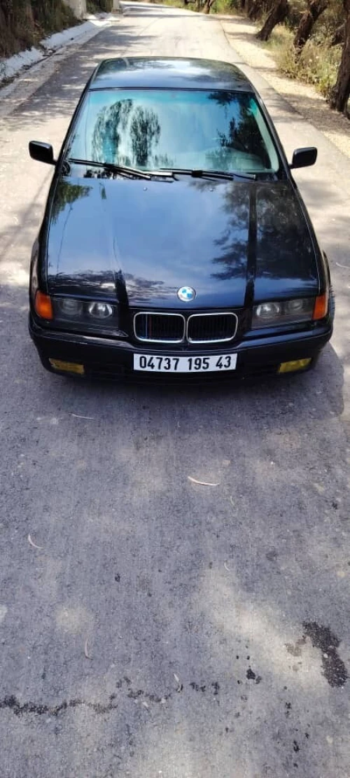 BMW E 36 1995 E36