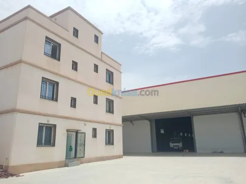 Location Hangar Alger Les eucalyptus
