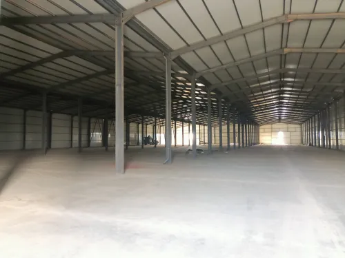 Location Hangar Alger Les eucalyptus