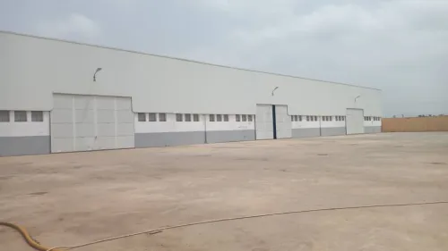 Location Hangar Alger Les eucalyptus