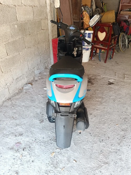 Cuxi Estate x 2024