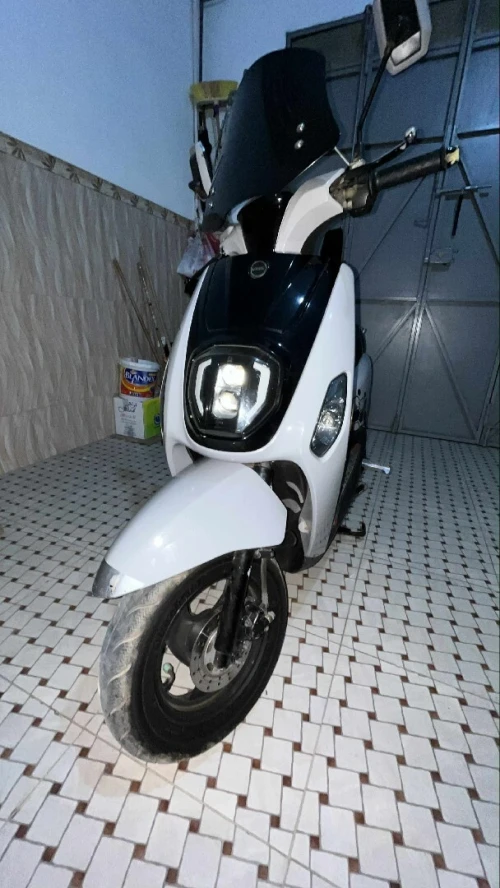 VMS Couxi Estate X 2021