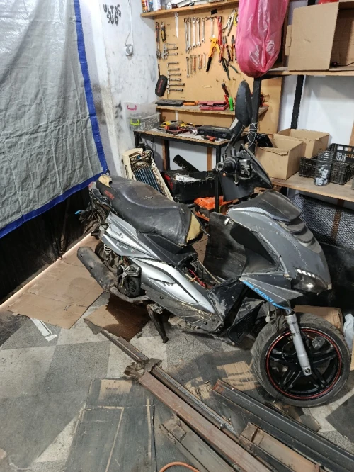 Okinoi Rapido 2019