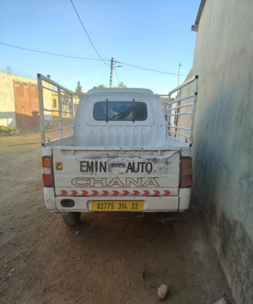 Chana haifi 