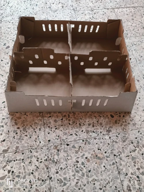Machine carton poussins plus moule