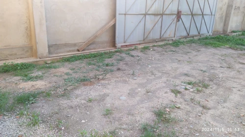 Location Hangar Blida Beni mered