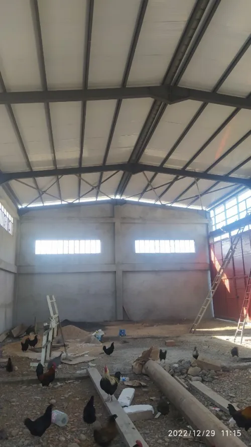 Location Hangar Blida Beni mered