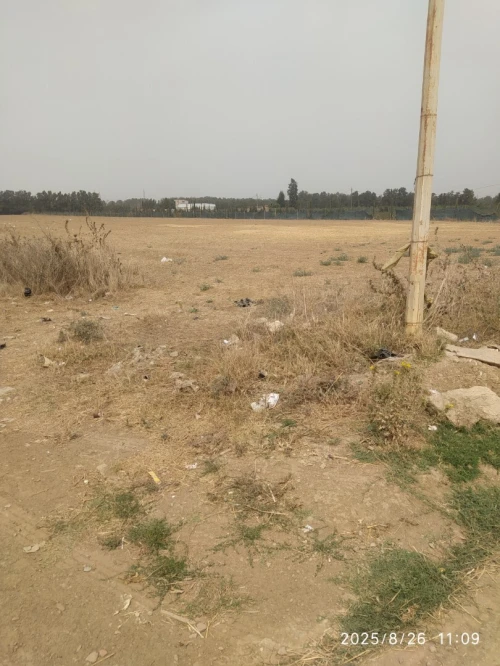 Vente Terrain Blida Beni mered