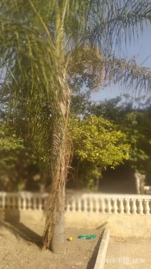 Location Appartement F8 Blida Beni mered