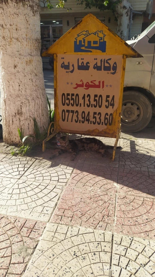 Vente Terrain Blida Beni mered
