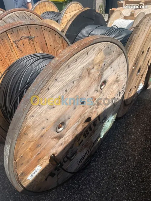 Cable electrique