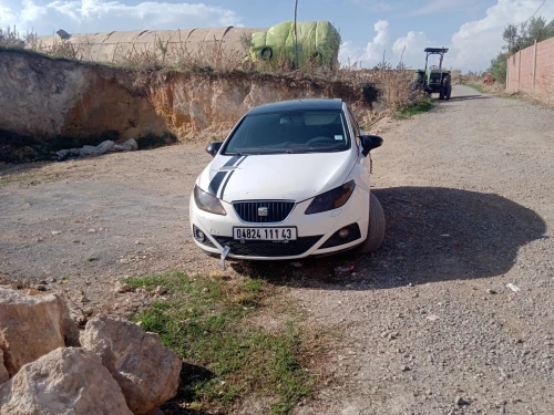 Seat Ibiza 2011 Loca