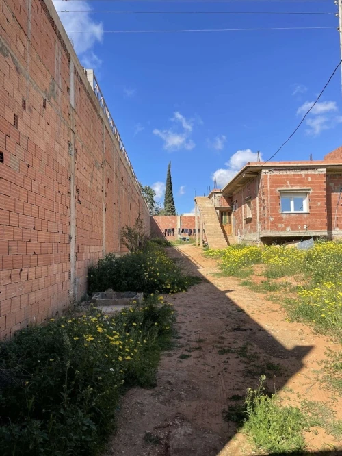 Vente Terrain Mostaganem Sayada