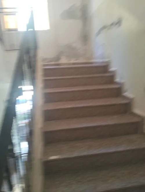 Vente Appartement F4 Alger Bouzareah