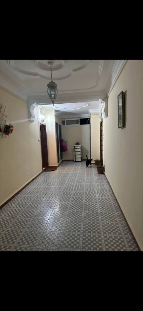 Vente Appartement F5 Alger Bouzareah