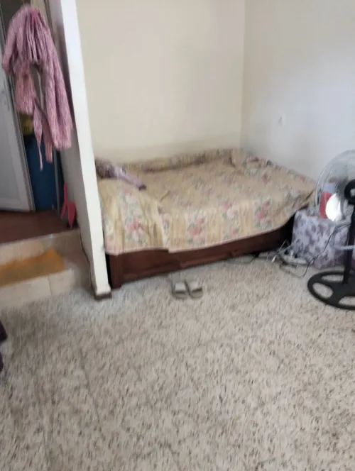 Location Appartement Studio Alger Cheraga