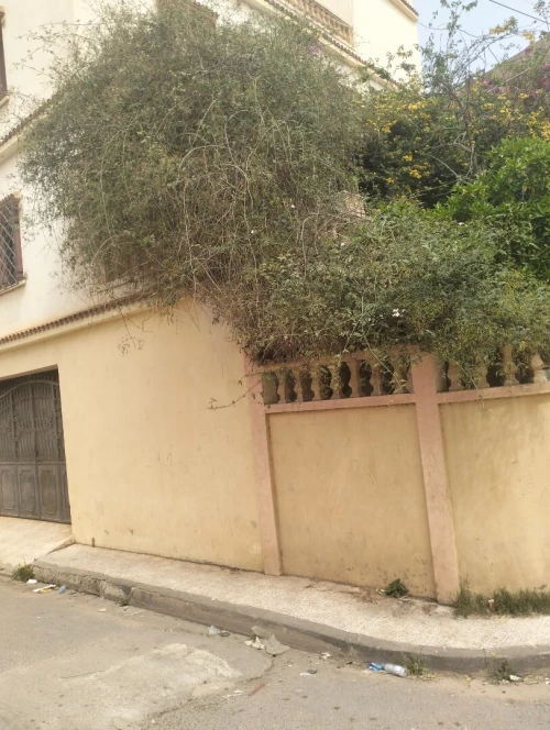 Vente Villa Alger Draria