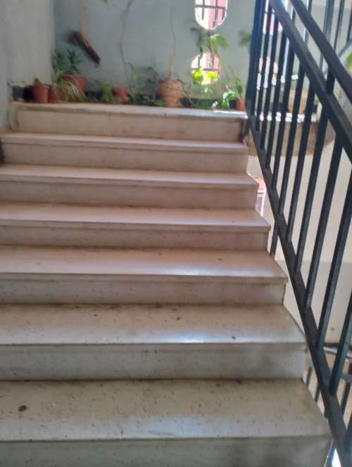 Location Appartement F4 Alger Dely brahim
