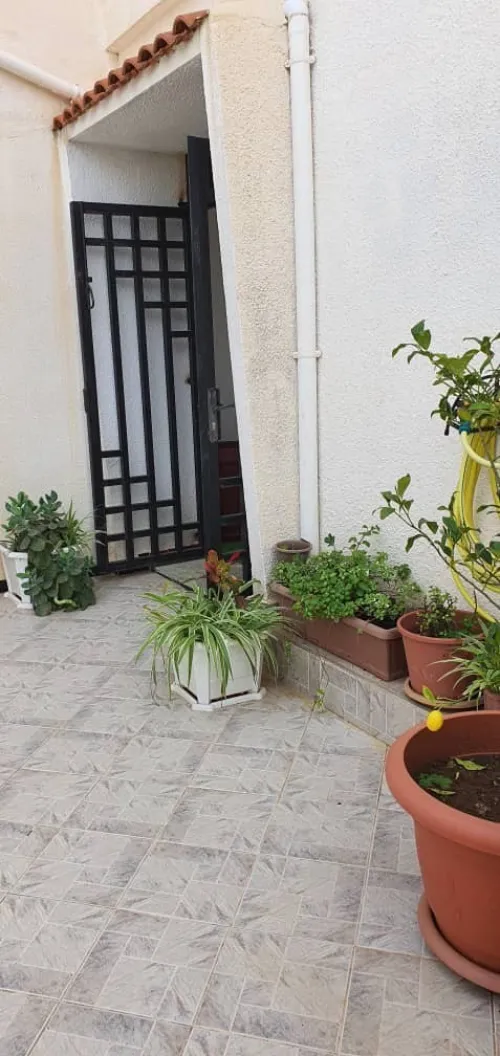 Location Villa Alger Bouzareah