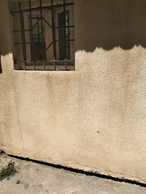 Location Appartement Studio Alger Cheraga
