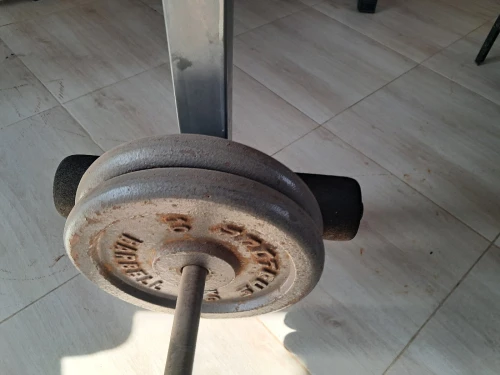 Musculation 
