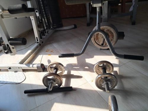Musculation 