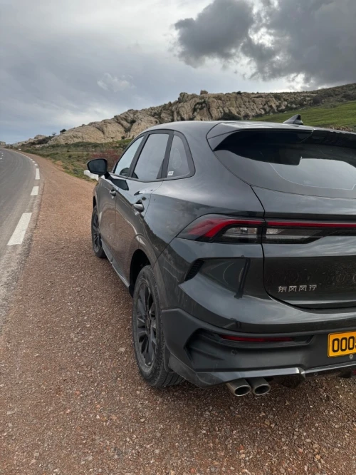 DF Joyear  Forthing 2025 T5evo