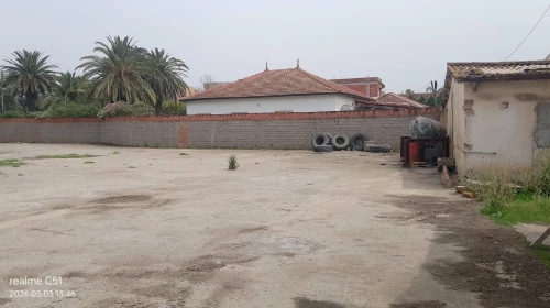 Location Hangar - Usine Alger Souidania
