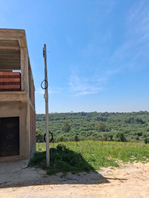 Vente Terrain Alger Souidania