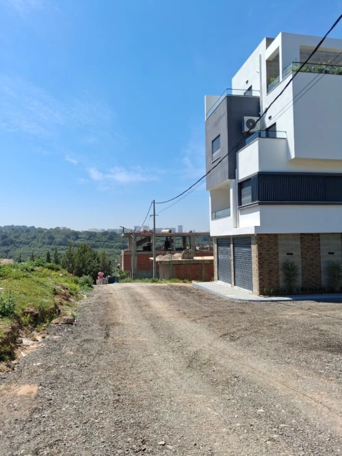 Vente Terrain Alger Souidania