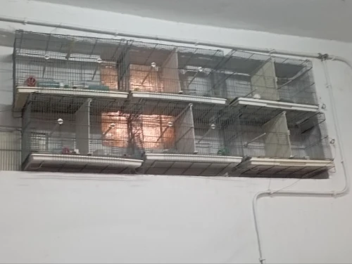 Cage d'oiseaux couplage