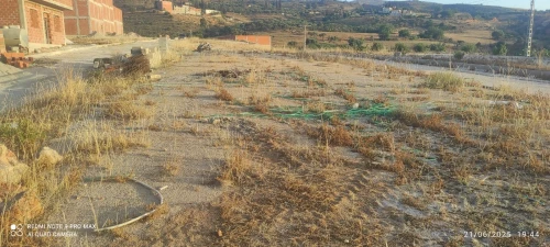 Vente Terrain Tlemcen Nedroma