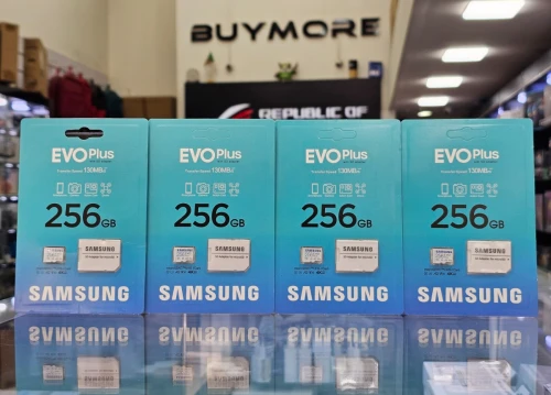 SAMSUNG EVO PLUS MICRO SDXC A20 U3 256GB