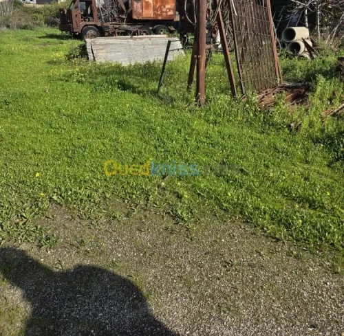 Vente Terrain Annaba Annaba