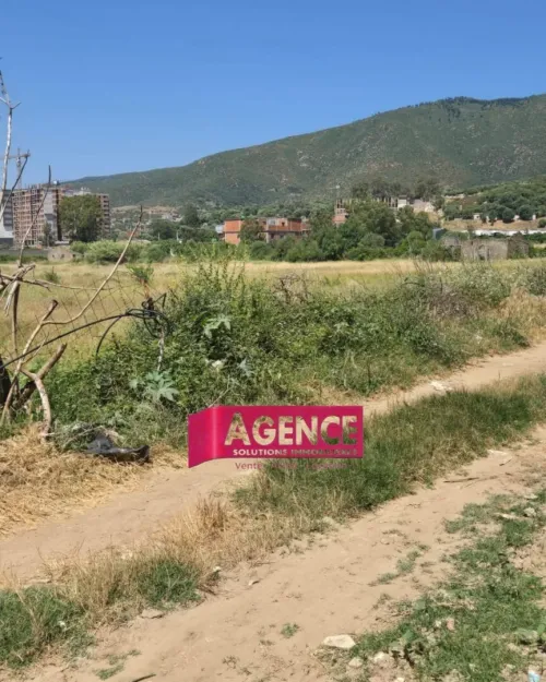 Vente Terrain Annaba Annaba