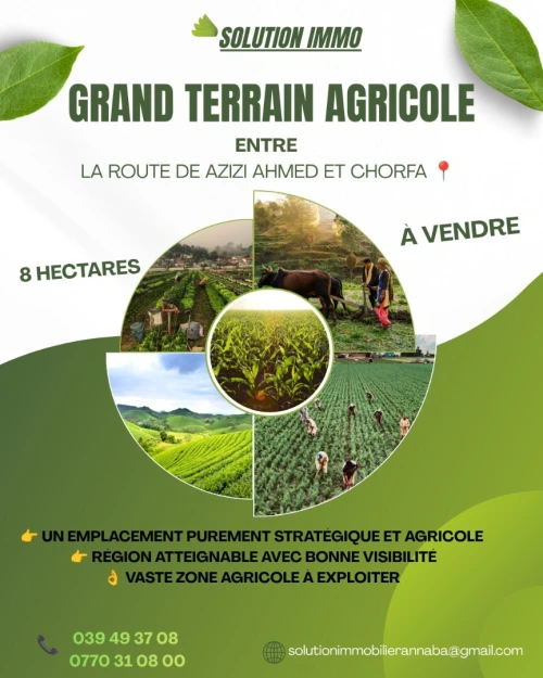 Vente Terrain Annaba Annaba